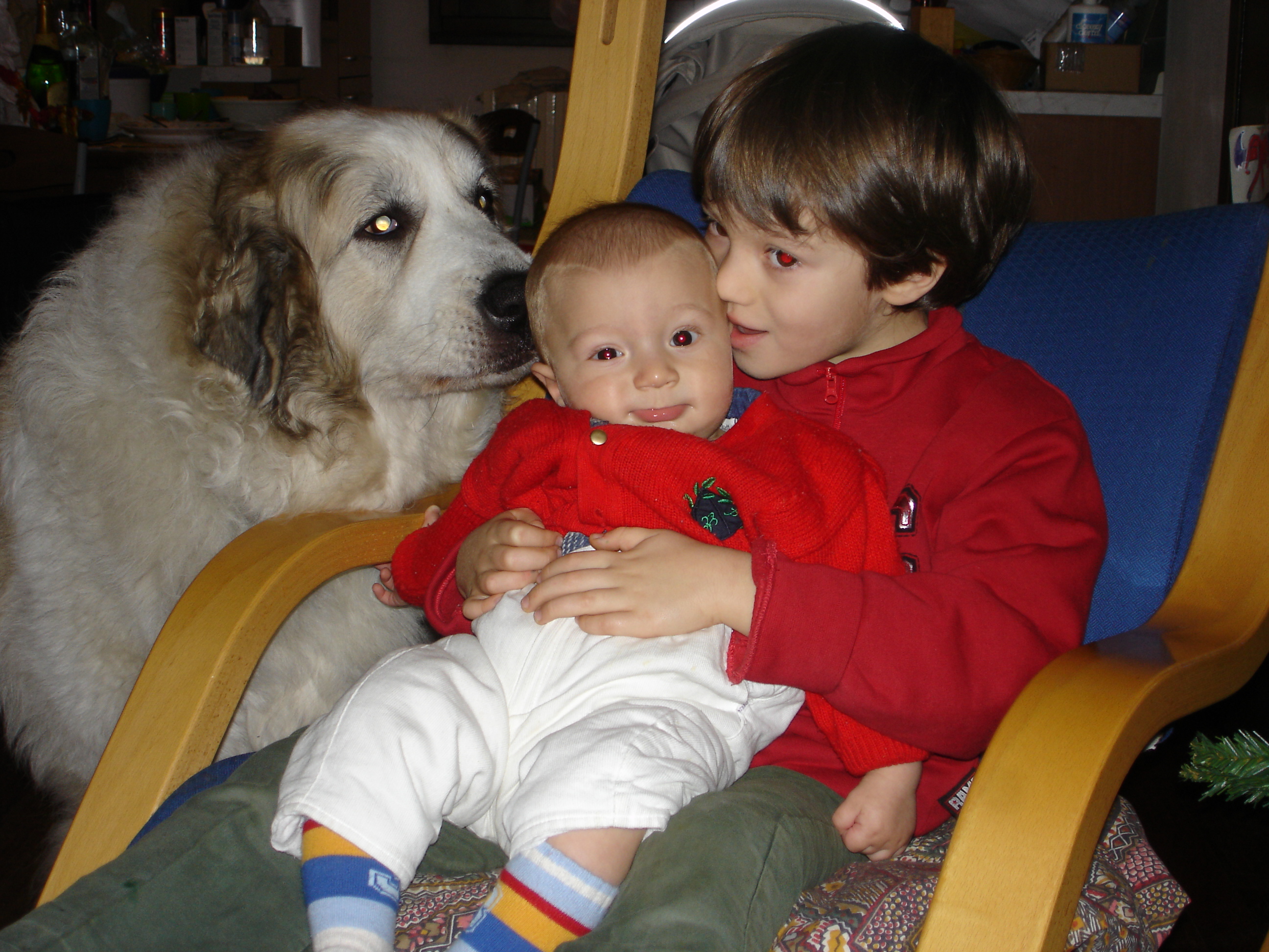I nostri 3 figli ...