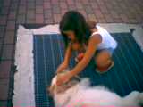 Grande amore