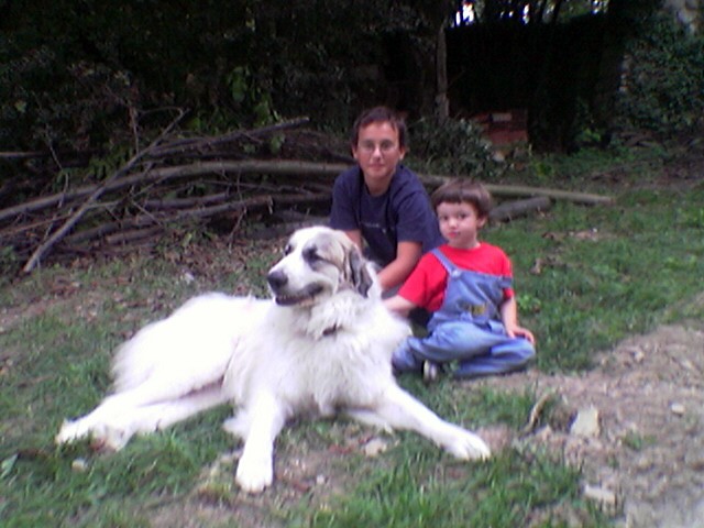 Che dolcezza..
