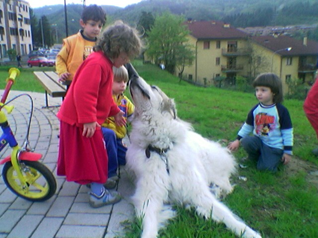 Baciami ...