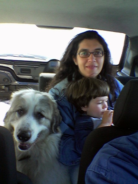 In auto