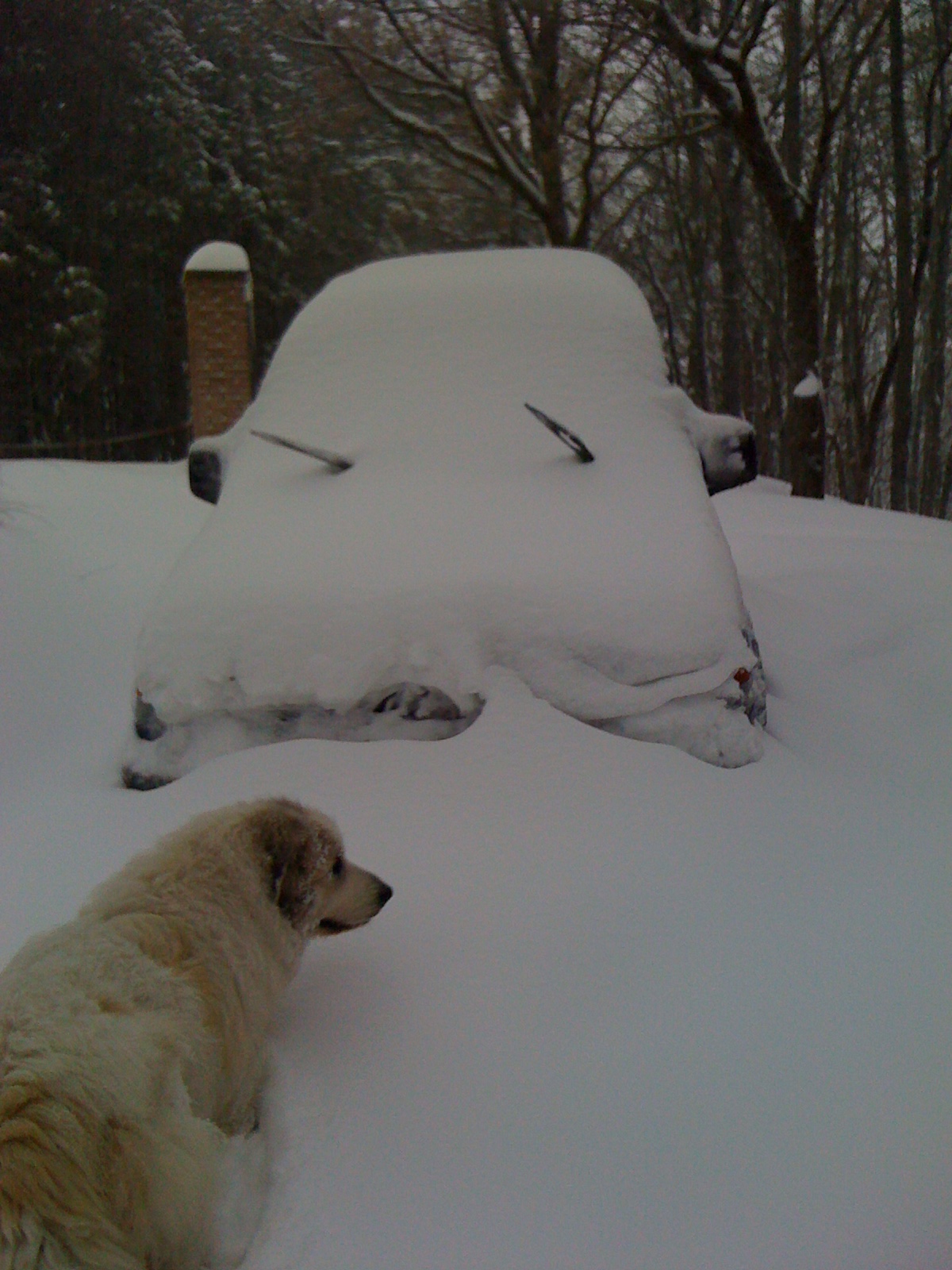 Ancora neve