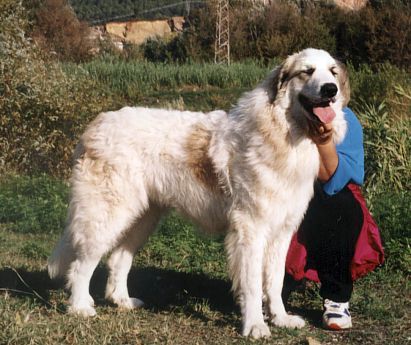 La sorella Mazarine